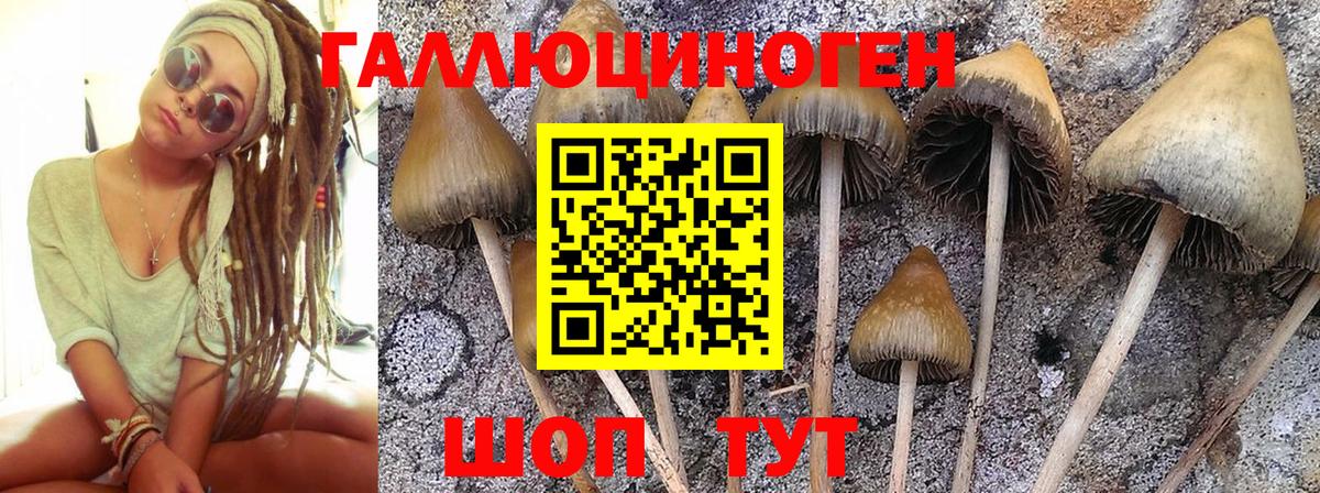 Галлюциногенные грибы GOLDEN TEACHER Лангепас